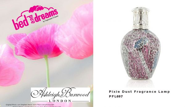 Premium Fragrance Lamp Small - Pixie Dust